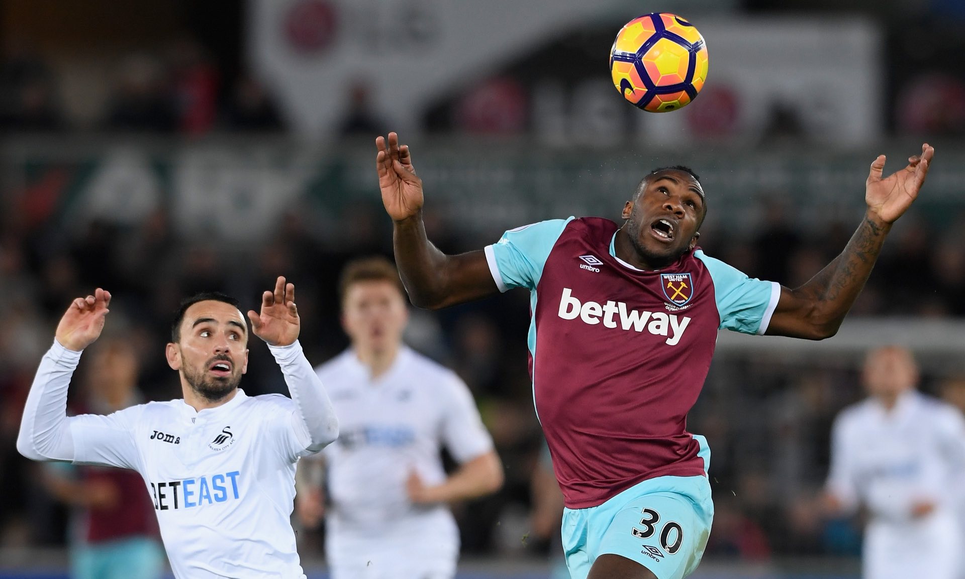 是对道曼的 是对道曼的